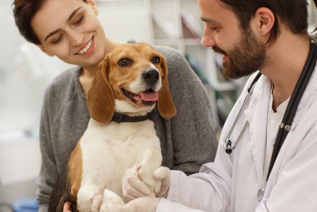 Questions to Ask During Your Pet’s Annual Checkup