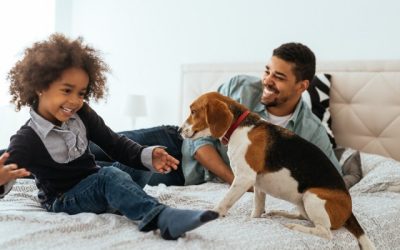 Choosing the Right Dog Breed for Your Family